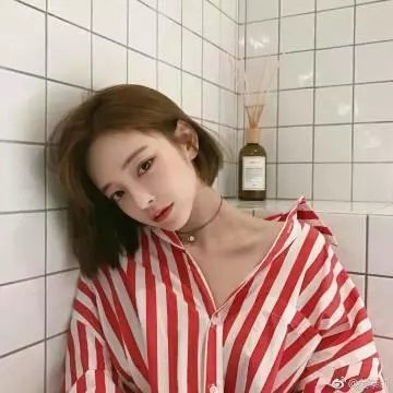 寻芳浪蝶